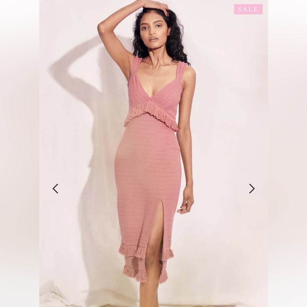 Saylor Nicolalia Dress